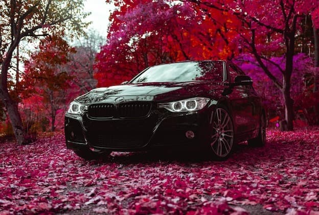Black BMW luxury sedan among vivid pink autumn trees